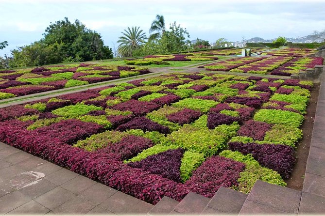 Private Tour Cable Car Toboggan Tropical Garden and Skywalk - Customer Experiences and Reviews