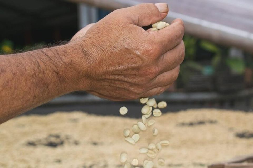 Private Tour in an Authentic, Ecological Local Coffee Finca - Important Tour Information