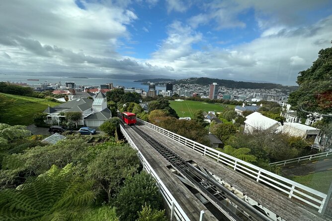 Private Tour in Wellington - Highlights of Wellington