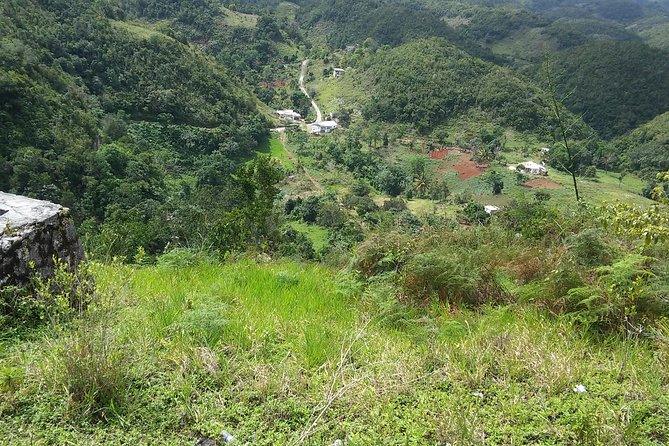 Private Tour Ocho Rios or Runaway Bay To 9 Mile Bob Marley Birth & Resting Place - Highlights of the Tour