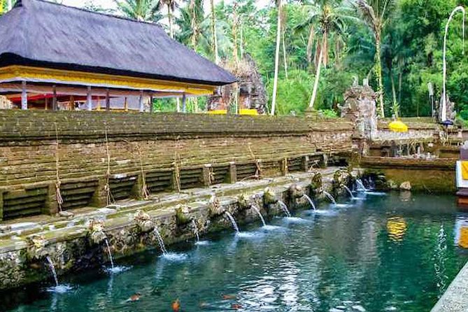 Private Tour Top Sights of Bali in One Day - Tegalalang Rice Terrace