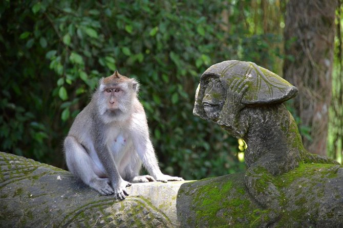 Private Tour: Ubud Day Tour With Traditional Offering Lesson - Customer Testimonials and Reviews