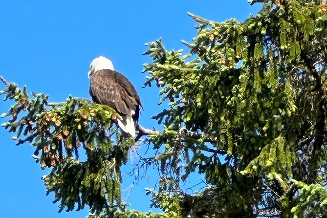 Private Tours for Ease, Comfort, Flexibility, and Relaxed Pace! - Wildlife and Scenic Highlights