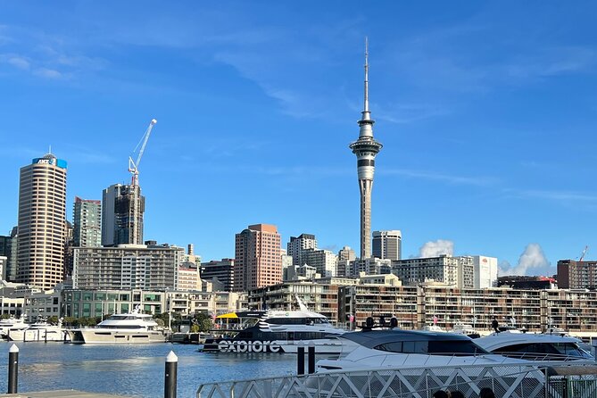 Private Transfer From Auckland Airport To Rotorua - Customer Experiences and Testimonials