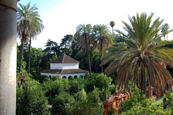 Private Visit to the Alcazar and the Cathedral of Seville - Alcazar and Cathedral Highlights