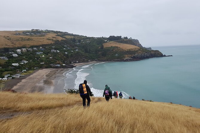 Private Walking Tour From Christchurch - Lyttelton & Godley Head - Customer Review Insights