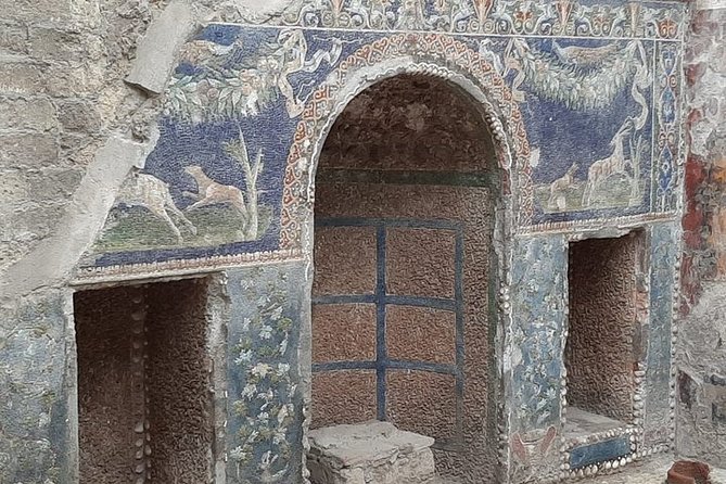 Private Walking Tour Through the Historical City of Herculaneum - What to Expect on the Tour