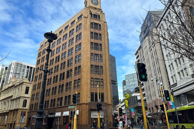 Private Wellington City Highlight Tour - Accessibility Information