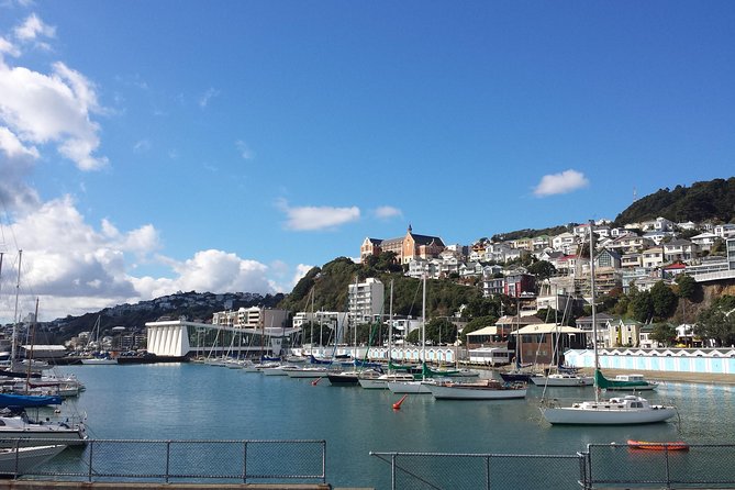 Private Wellington Full Day Sightseeing Tour - Customization Options