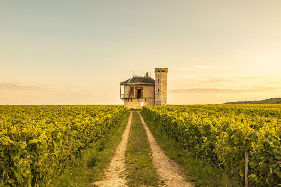 Private Wine Tour in Côte De Nuits and Côte De Beaune - Scenic Route Details