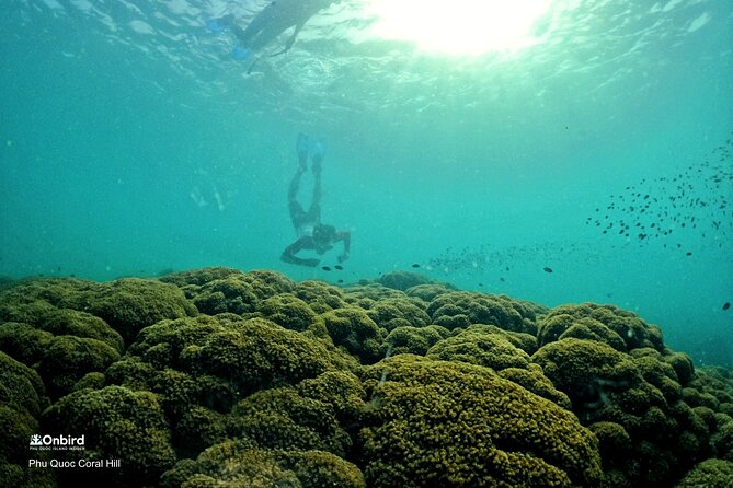 PROFESSIONAL SNORKELING to Explore Hidden Coral Spots (MAX 9 PAX) - Snorkeling Gear and Safety