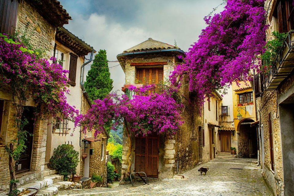 Provence & Its Medieval Villages Full Day Sightseeing Tour - Booking Information