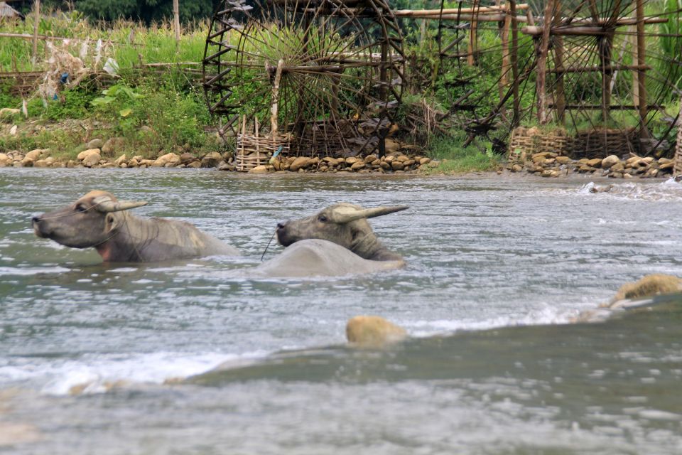 Pu Luong Offbeat Trekking Tour 2 Days 1 Night With Limousine - Bamboo Rafting Adventure