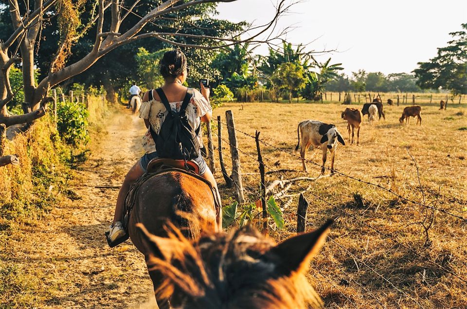 Puerto Escondido: Sunset Horse Ride - Marveling at Migratory Birds