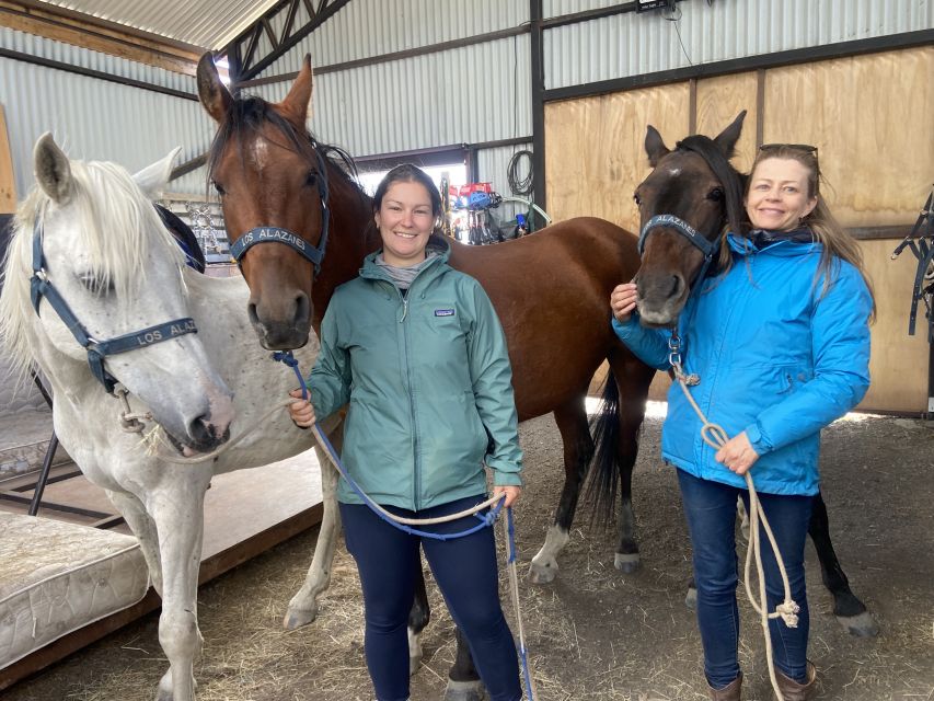 Puerto Natales: Horseback Riding With Horse Connection - Participant Requirements