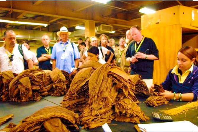 Puerto Plata City Tours - Rum Factory and Chocolate Factory Visits