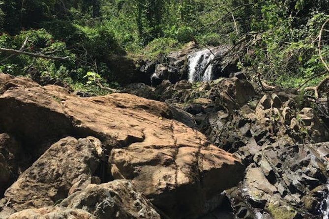 Puerto Rico Waterfall Hiking Tour: Discover Hidden Gems - Children Accompaniment