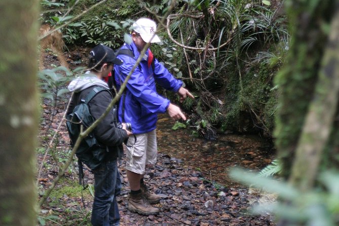 Puketi Rainforest Guided Walks .This Is Not a Shore Excursion Product . - Physical Requirements