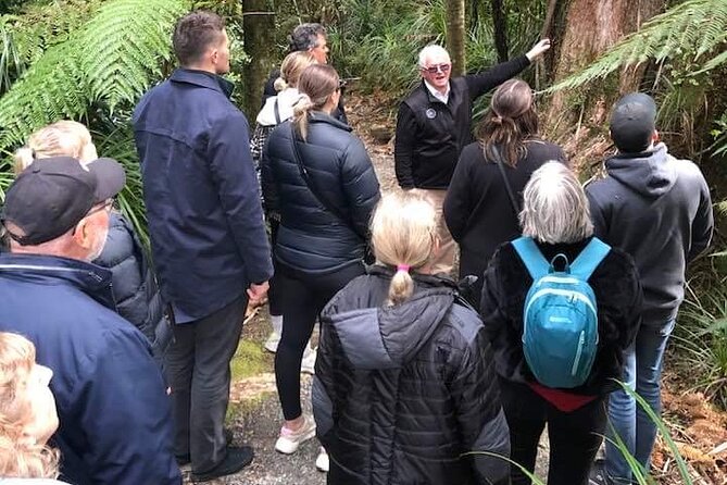 Punakaiki Blow Holes & Pancake Rocks Scenic Tour - Accessibility and Pickup Options