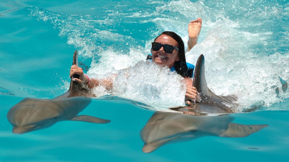 Punta Cana: Dolphin Discovery Swims and Encounters - Program Options and Pricing