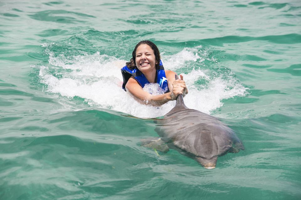 Punta Cana: Dolphin Explorer Swims and Interactions - Interacting With Dolphins