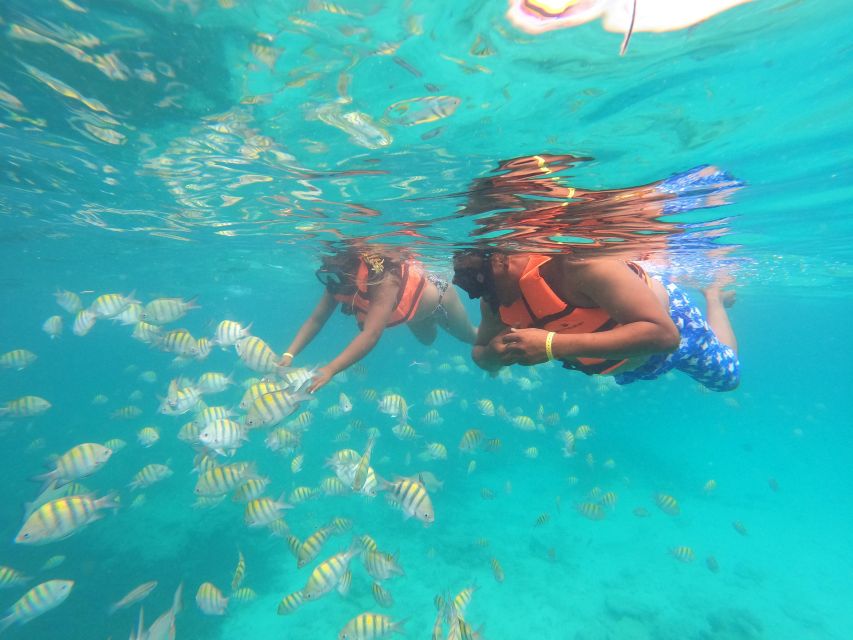 Punta Cana: Speedboat and Snorkeling Adventure - Duration and Pricing