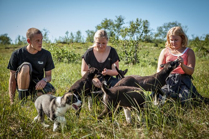 Puppy Training Experience at a Husky Farm in Tromso - Tips for Your Visit