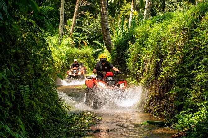 Quad Ride and Ubud Tour - What to Expect on the Tour