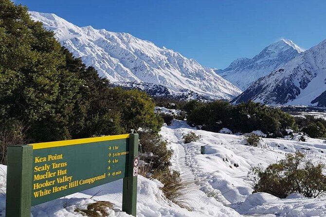 Queenstown to Christchurch One-Way via Mt Cook and Lake Tekapo - Traveler Feedback and Experiences