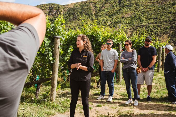 Queenstown Wine Sampler Tour - Booking and Pricing Information