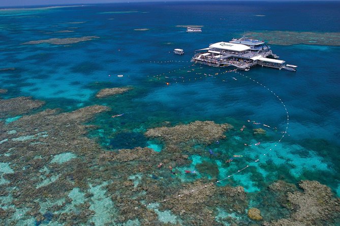 Quicksilver Great Barrier Reef Snorkel Cruise From Port Douglas - Travel and Accessibility