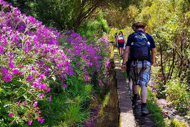 Rabaçal 25 Fontes Levada Walk in Small Groups - Weather Policy and Cancellations