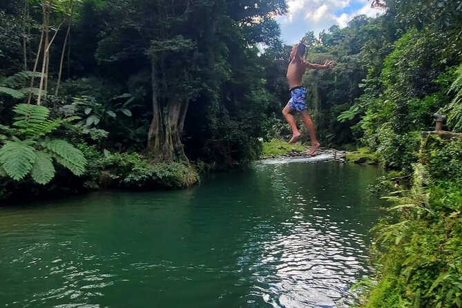 Rainforest and Junglequi Zipline Combo Tour - What to Expect