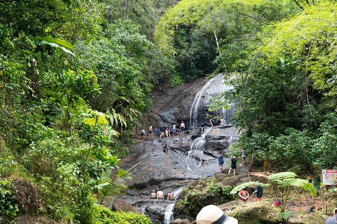 Rainforest Hike and Waterfall Safari - Opportunities for Swimming and Relaxation
