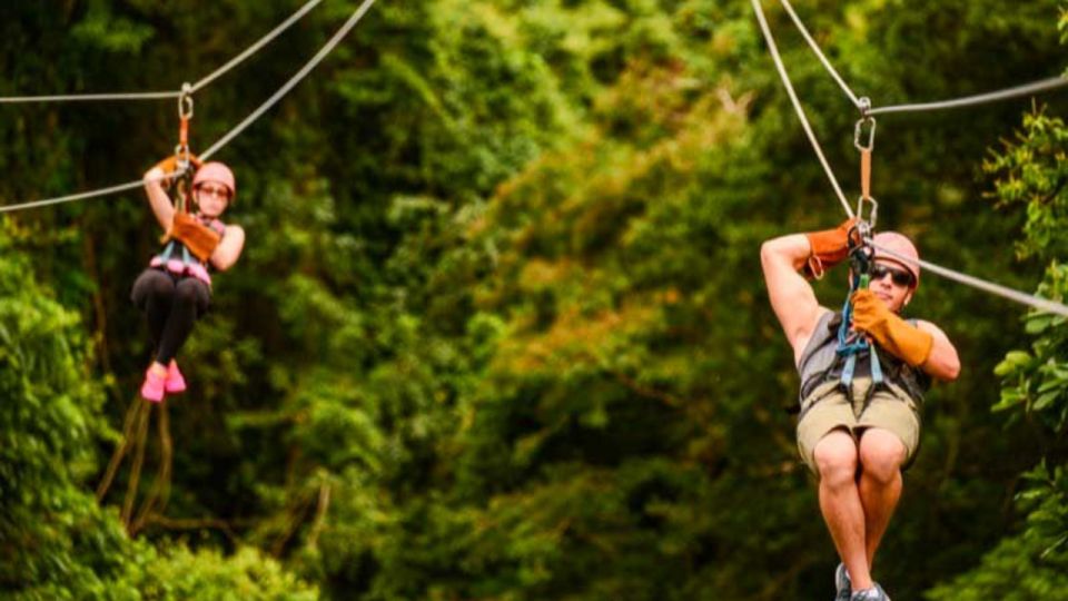 Rainforest Ziplining Adventure - Pricing and Booking