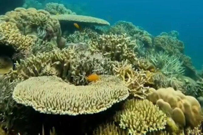 Rangko Cave & Beach Snorkeling Half Day Sharing Trip Labuan Bajo - Highlights of Rangko Cave