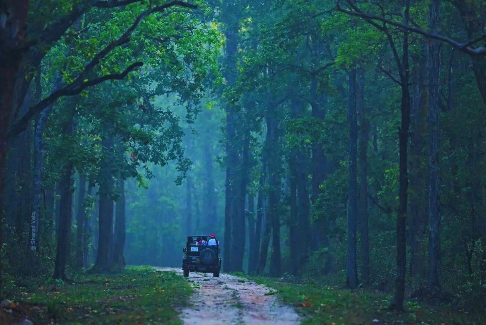 Ranthambore: Skip-the-Line Tiger Safari in Sharing Canter - Pricing and Inclusions