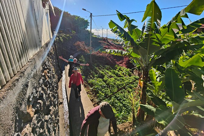 Real Life, Mountains & Sea Cliffs + Lunch + Levada Walk - 6 Hours - Explore Funchal Historic District