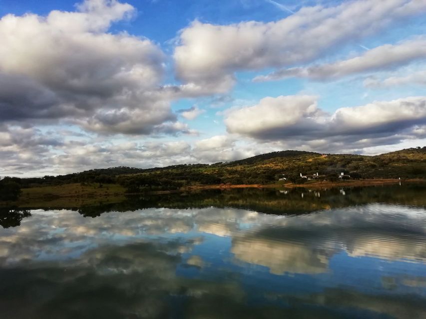 Redondo: Walk in the Cork Forest With Lunch & Wine Tasting - Delightful Wine Tasting