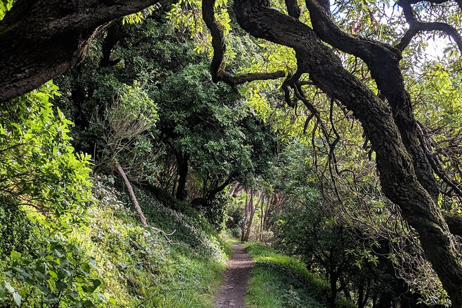 Remutaka Rail Trail Explorer - Ebike Cruise Ship Shore Excursion - Pricing Information
