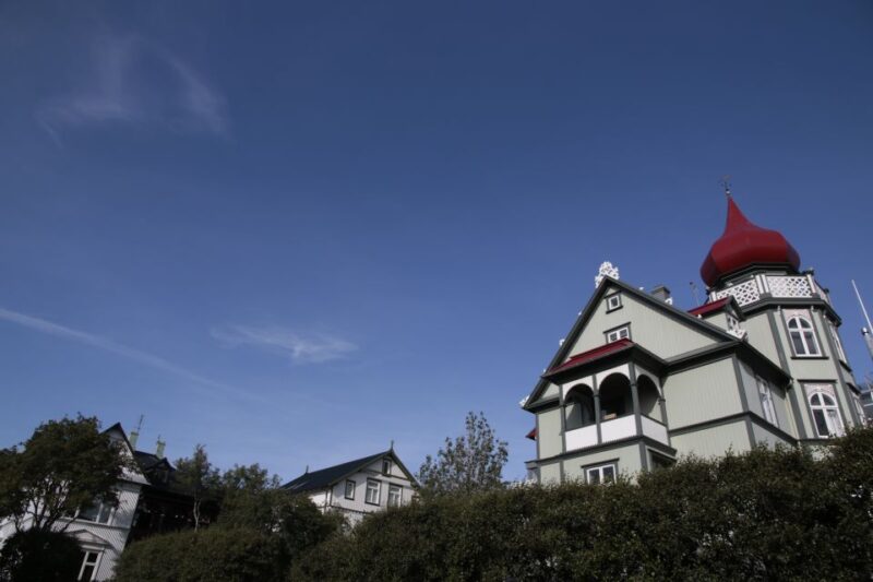 Reykjavik: Guided City Walking Tour - Accessibility Considerations