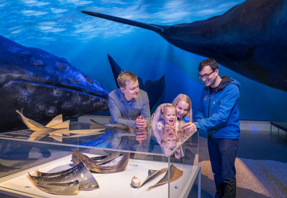 Reykjavik: Whales of Iceland Museum Entrance Ticket - Accessibility Features