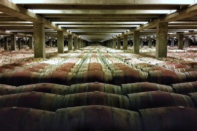 Rioja Wine Route With Winery Owner - The Role of Winery Owner Jose