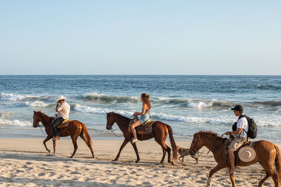 River, Ocean & Sunset Horse Riding Tour - Availability and Booking Details