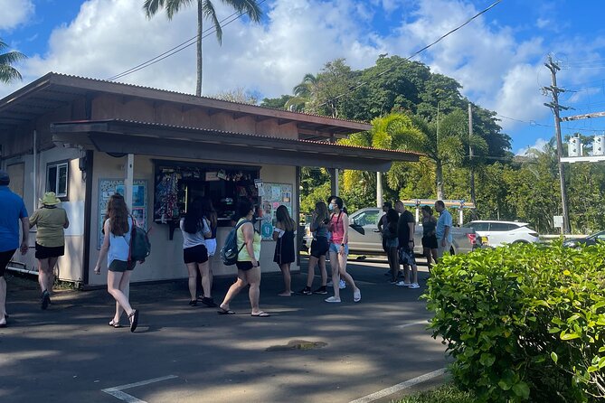 Road to Hana Tours to Black Sand Beach, Waterfalls, and More! - Recommendations for Travelers