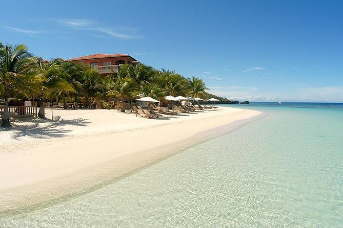 Roatan Excursion: City Tour / Plus Sloths and Monkey Hang Out - Booking Process and Confirmation