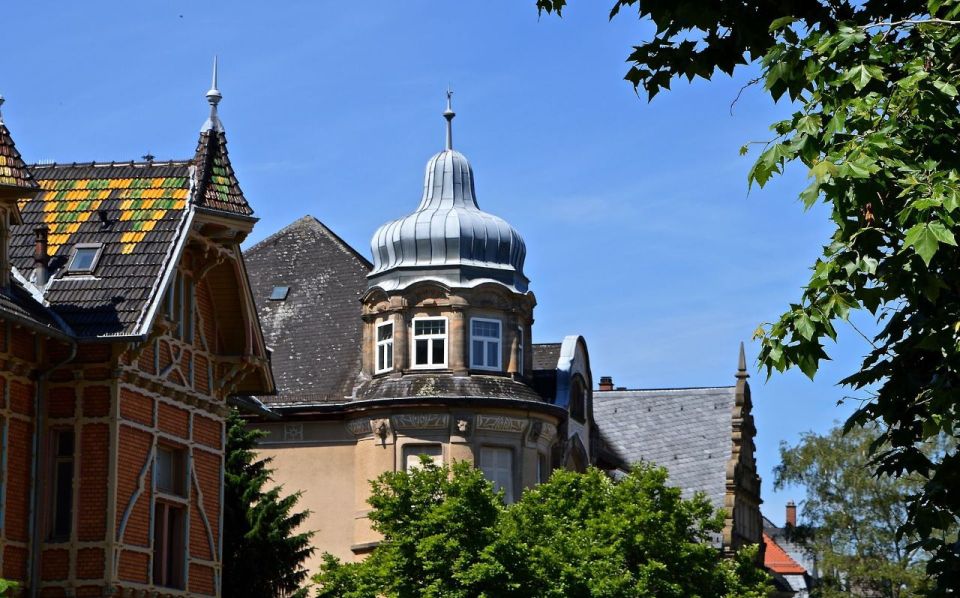 Romantic Heidelberg: Private Tour With Professional Guide - Historic Sites and University History