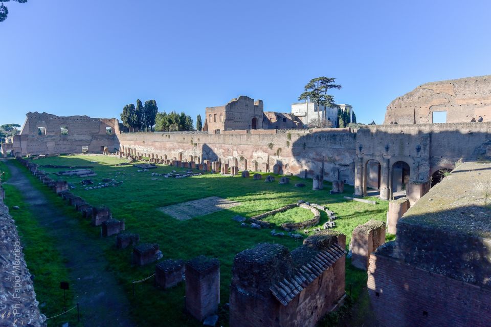 Rome: Colosseum, Roman Forum and Palatine Hill Guided Tour - Discovering Roman Forum