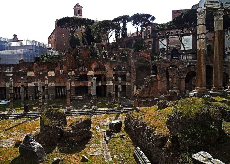 Rome: Colosseum, Roman Forum, and Palatine Hill Tour - Restrictions and Guidelines