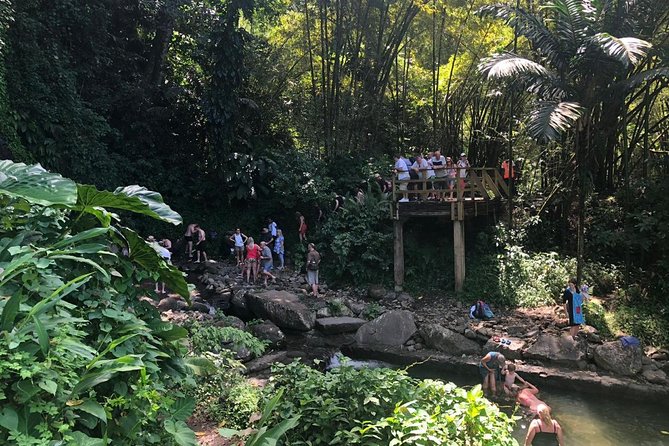 Ronaldfraser Darkview Waterfall,Pirates,Fort Charlotte and Beach - Local Cuisine Tasting